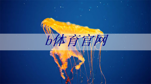 b体育：鹤岗智能货运物流综合解决方案