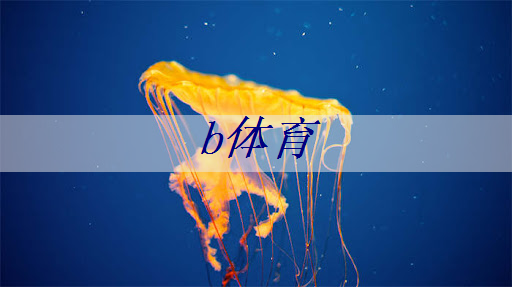 b体育官网：芜湖智慧城市网球中心